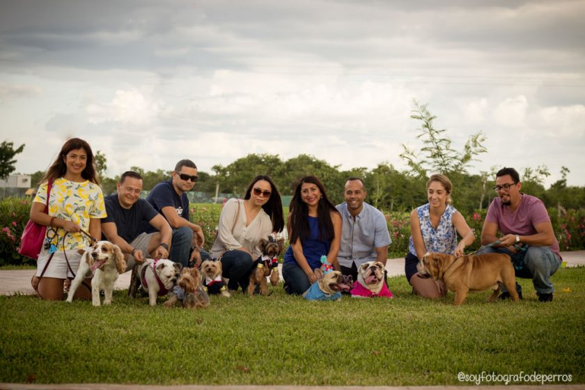 lago la isla mérida pet friendly para perros cumpleaños 