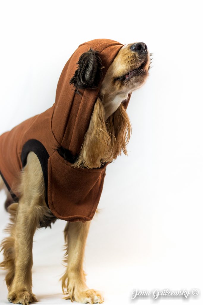 perro cocker con disfraz de star wars