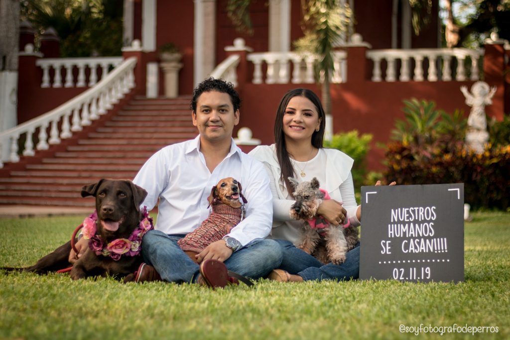 Sesión save the date con perros en hacienda yucatan