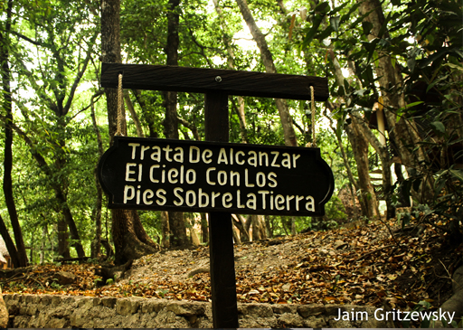 trata de alcanzar el cielo con los pies en la tierra chiapas el chiflón