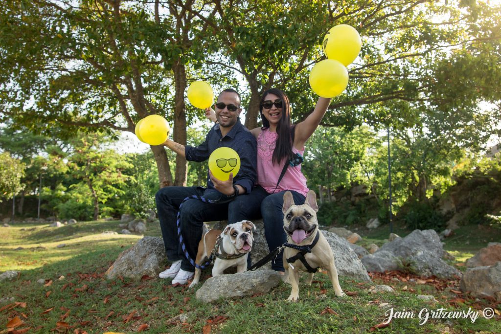 sesión de fotos con globos bulldog ingles frances familia