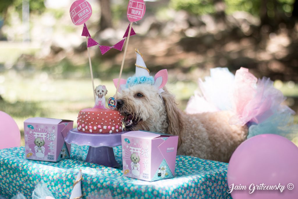 trufa perro cumpleaños pastel para perros