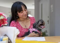 Ki Restaurante, un restaurante pet friendly en Mérida