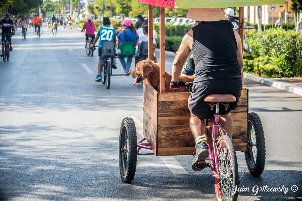 biciruta de merida en domingo paseando en bici con su perro triciclo labrado paseo montejo
