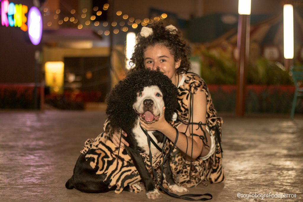perro pitbull disfrazado con niña de cavernicolas