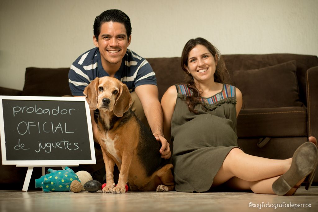sesión de fotos embarazada con perro
