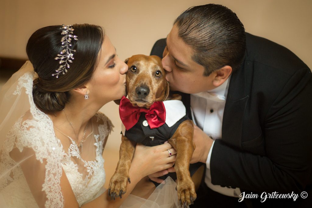 sesión de fotos boda con perro