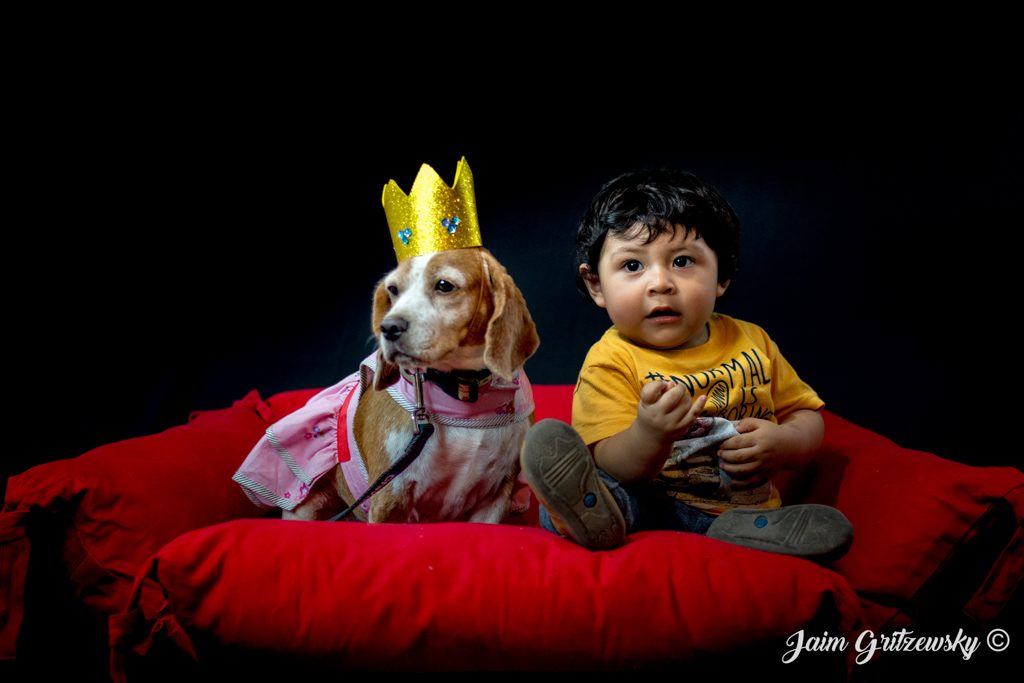 sesión de fotos perro y bebé niño fotos de estudio perro con corona