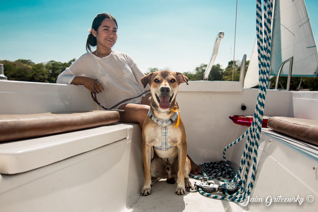 foto perro posando en velero Bacalar