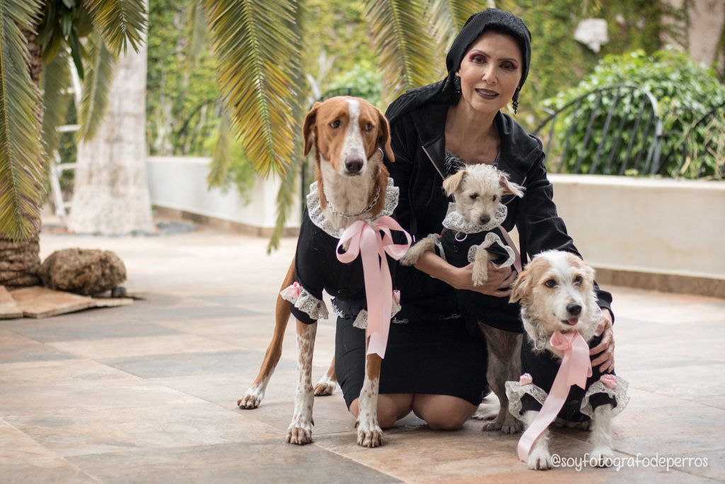 señora elegante con tres perros rescatados adoptados vestidos elagantes