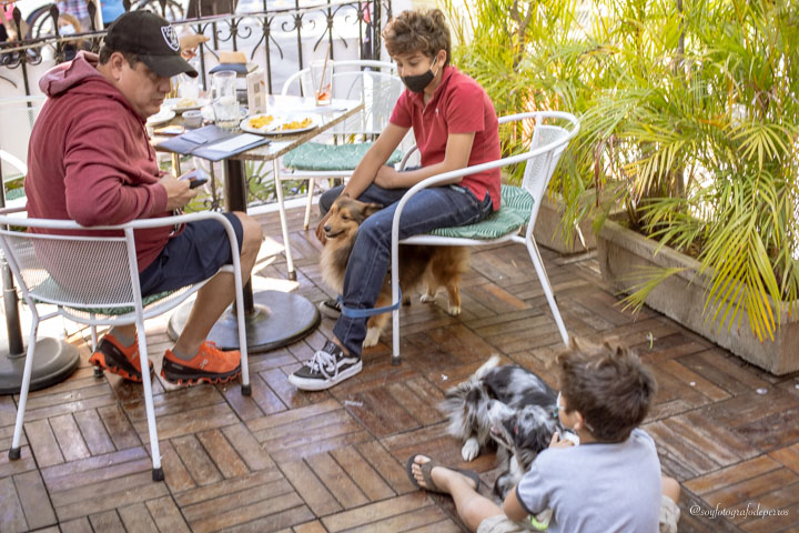 terraza casa chica mérida familia con perros