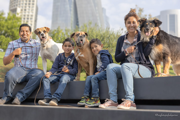 sesion de fotos con perros parque la mexicana en santa fe