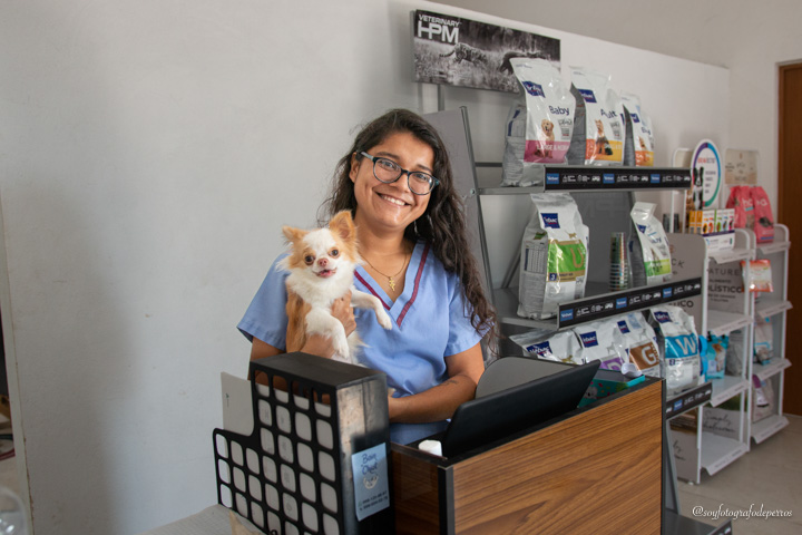medico veterinario con perrito en brazos cargando perrito chihuahua de pelo largo en clinica veterinaria marketing para veterinarias