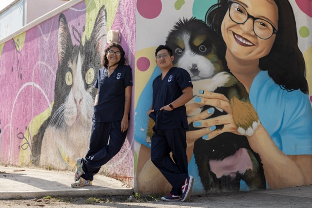 clinica veterinaria en mérida yucatán temozón norte consultas para perros y gatos baños estetica canina